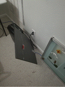 Crash 1.gif